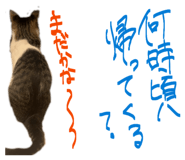 836970651