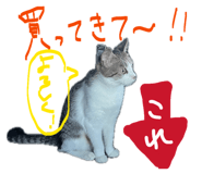 836970654