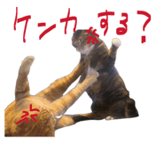 836970658
