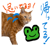 836970664