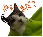 836970665
