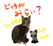 836970671