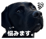 836971033