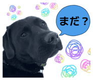 836971045
