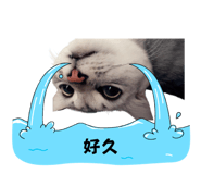 836975905