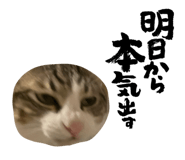 836983028