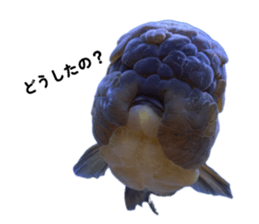 836985673