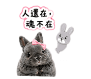 836987501
