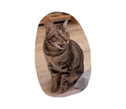 836989631