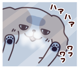 8369953