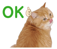 837004861