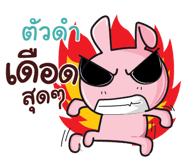 837009096