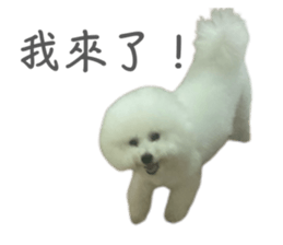 837018149
