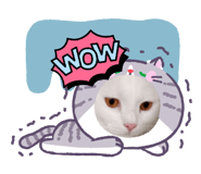 837021504