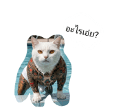 837021512