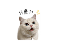 837024874