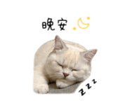 837024880