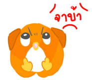 837027876