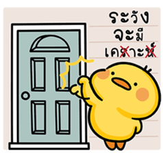 ลายที่ 13