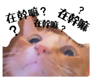 837032210