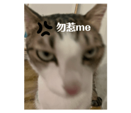 837032211