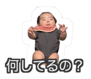 837035577