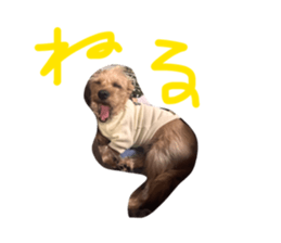 837036565