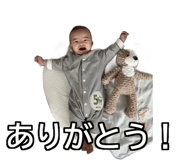 837036746