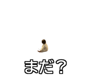 837036762