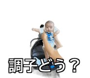 837036775