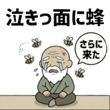 837036906