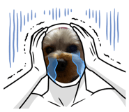837037026