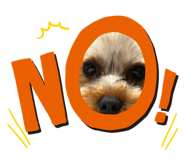 837037028