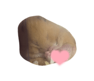 837037107