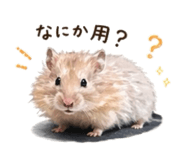837037515