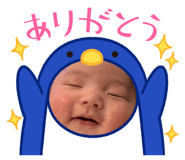 837037946