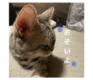 837038004