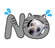 837040605