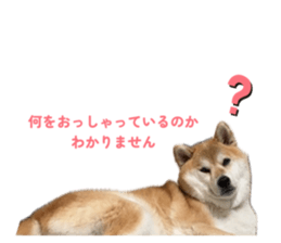 837043133
