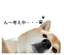 837043134