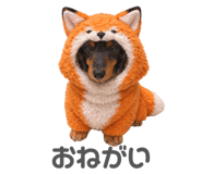 837043731