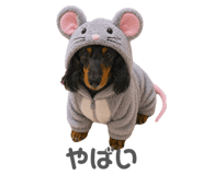 837043755