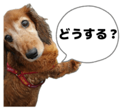 837047636
