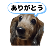 837047638