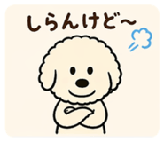 837062906