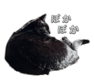 837064893