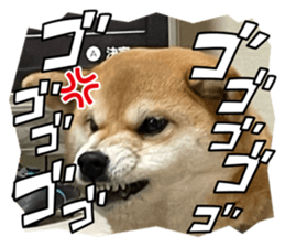 837065235