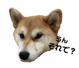 837065248