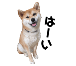 837065270