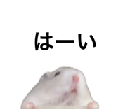 837065837